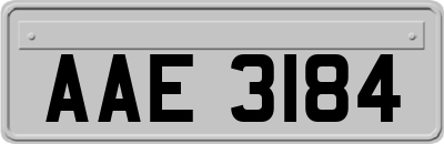 AAE3184