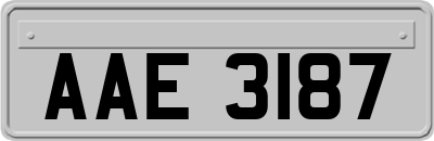 AAE3187