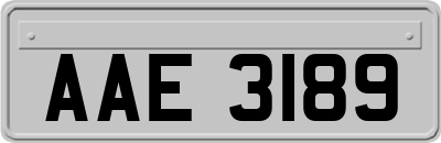 AAE3189