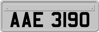 AAE3190