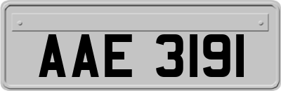 AAE3191