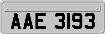 AAE3193