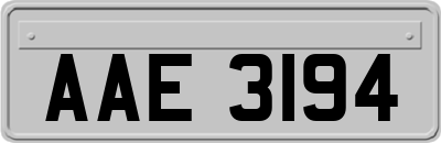 AAE3194