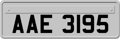 AAE3195