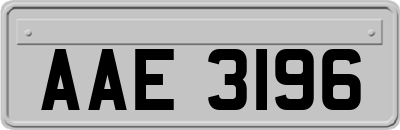 AAE3196