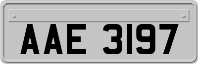 AAE3197