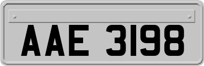 AAE3198