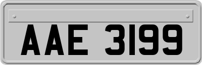 AAE3199