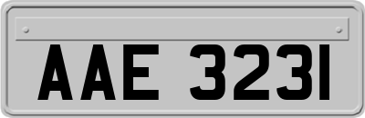 AAE3231