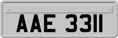 AAE3311