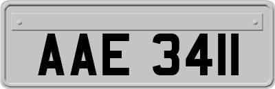AAE3411