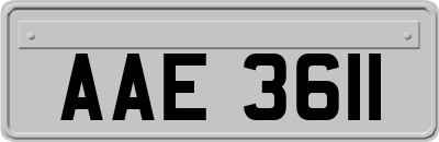 AAE3611
