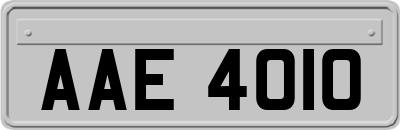 AAE4010