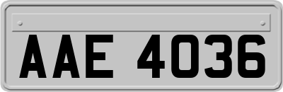 AAE4036