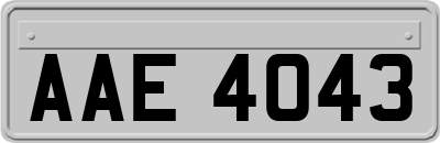 AAE4043