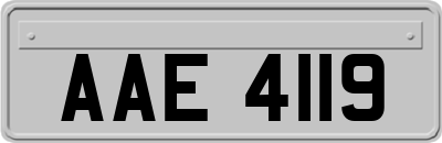 AAE4119