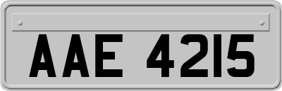 AAE4215