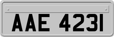 AAE4231