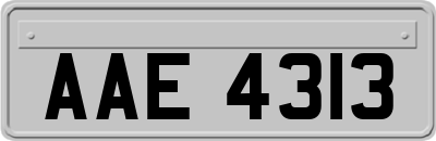 AAE4313