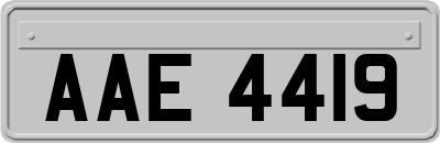 AAE4419