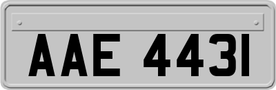 AAE4431