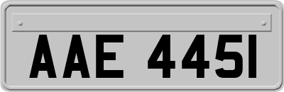 AAE4451