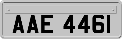 AAE4461