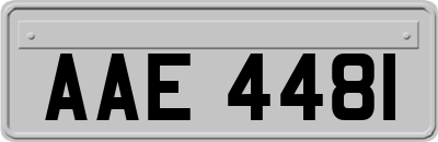 AAE4481