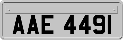 AAE4491