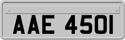 AAE4501