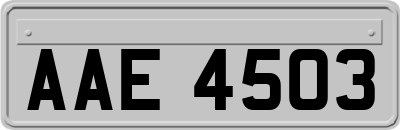 AAE4503