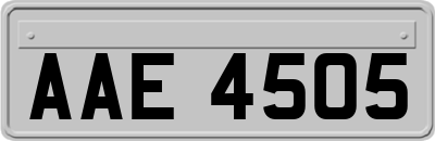 AAE4505