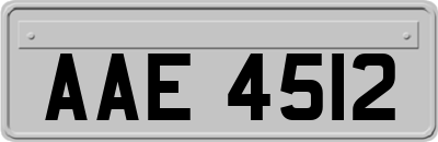 AAE4512