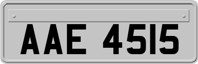 AAE4515