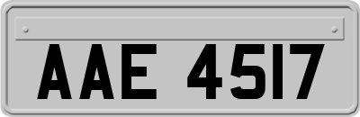 AAE4517