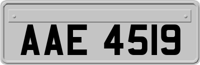 AAE4519