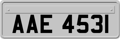 AAE4531