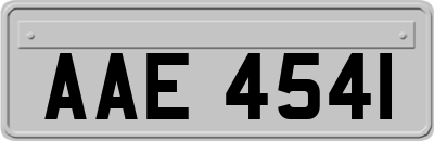 AAE4541