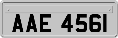 AAE4561