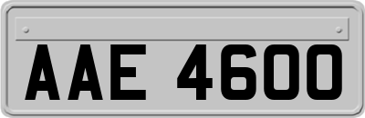 AAE4600