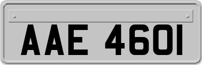 AAE4601