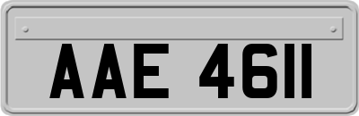 AAE4611