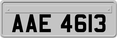 AAE4613