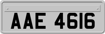 AAE4616