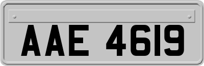 AAE4619