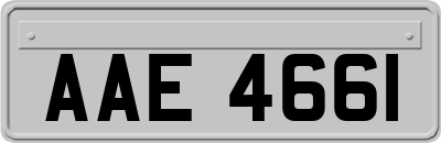 AAE4661