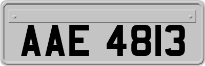 AAE4813