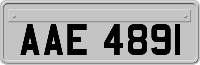 AAE4891