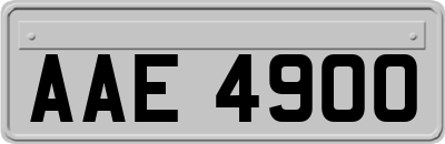 AAE4900