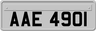 AAE4901